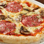 Salami mushroom garlic pizza