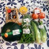 はなまる市場 - 料理写真:買ってきた野菜などなど