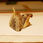 天ぷら 大坂屋 草哲 - 