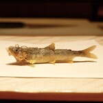 天ぷら 大坂屋 草哲 - 