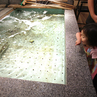 廻転 びっくり寿司_2