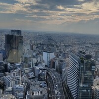 タワーズバー ベロビスト - 