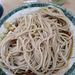 立喰そば かしやま - そばはしゃきっとしてます