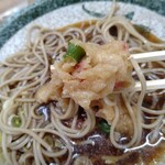 立喰そば かしやま - 冷やしで頂く天ぷらも旨い