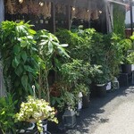 フロックス ローカル マーケット - 