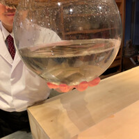 料理屋 植むら - 