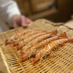 恵比寿 鮨 ふじまさ - 