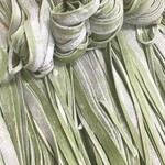 中華麺酒房 中華そば すずらん - 