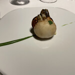 レフェルヴェソンス - 