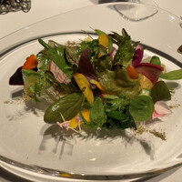 レフェルヴェソンス - 