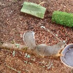 カフェ メリッジャーレ - 