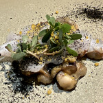 Hirovanna - アオリイカ