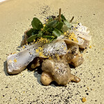 Hirovanna - アオリイカ