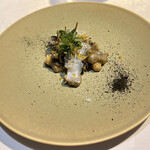 Hirovanna - アオリイカ