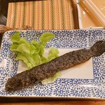 ふるかわ - ムツゴロウ