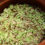 神楽坂 石かわ - 牛蒡のお釜ご飯