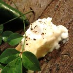 銀座 水野 - お昼の会席コース 3700円 の八寸：チーズ酒粕漬け