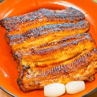 吉寅 - 