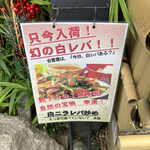 永楽 - 幻なんて言われるとねぇ…