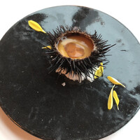 Fish Bank TOKYO - 雲丹のフラン