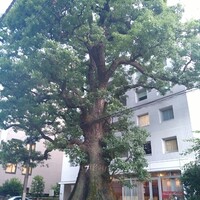 クリマ ディ トスカーナ - 