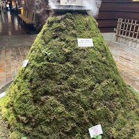 荒井屋 そごう横浜店 - 