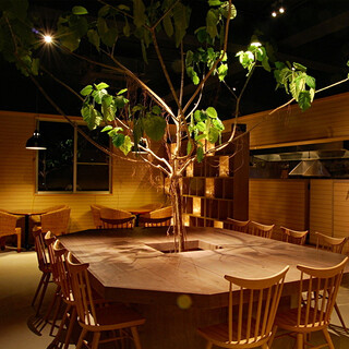 翁貝拉達的樹木點綴的舒適空間