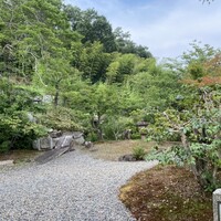 洋食 つばき - 