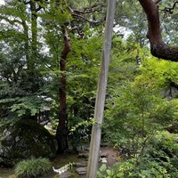 雀の庵 郡上 - 