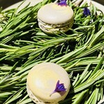 ラ・ヴァガボンド - マカロン