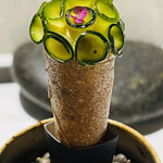 ラ・ヴァガボンド - ズッキーニのコルネ