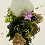 ラ・ヴァガボンド - 烏賊