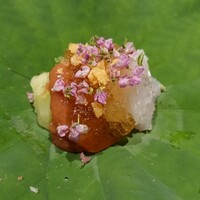日本料理 晴山 - 