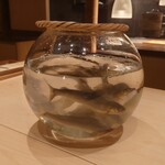 伯雲 - 天竜川の鮎のお披露目