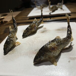 御料理 光安 - 若鮎の塩焼き