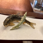 京都祇園 天ぷら八坂圓堂 - 