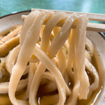 Sakurai Udon - 【2022年06月】並盛(温)@450円、麺のアップ、コシのある麺です。