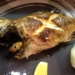 こいで - メタボのどぐろ焼き