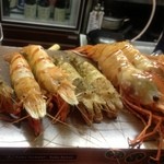 こいで - 海老のラインダンス