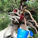 永楽 - 江戸川ダンディに聞くと『そうなのよ、むずかしいよー』と