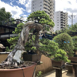 永楽 - 案内係の江戸川ダンディが『今なら1,000,000円安くしておくよ』と江戸川ジョークをかましてきます