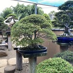 永楽 - はー、売約済みだって(＠_＠;)