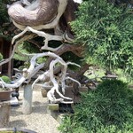 永楽 - 枝の白い部分はシャリではなくジン(神)といいます