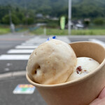 縄文あいす　ひとは館 - 料理写真:ダブル（500円）キャラメル、ラムレーズン