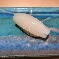 鮨 水天一碧 - 剣先イカ