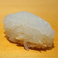 鮨 はしもと - アオリイカ