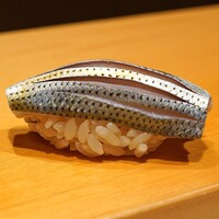 鮨 はしもと - こはだ