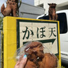 かぼ天の店なかそね