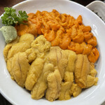 Shokudou Ushio - 積丹産ばふんうに&積丹産むらさきうにのハーフ丼　普通盛り