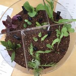 レストランぶどうの森 レ・トネル - 